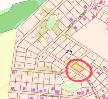 Участок в Владимирская область, Суздальский район, Боголюбовское ... - Фото 2