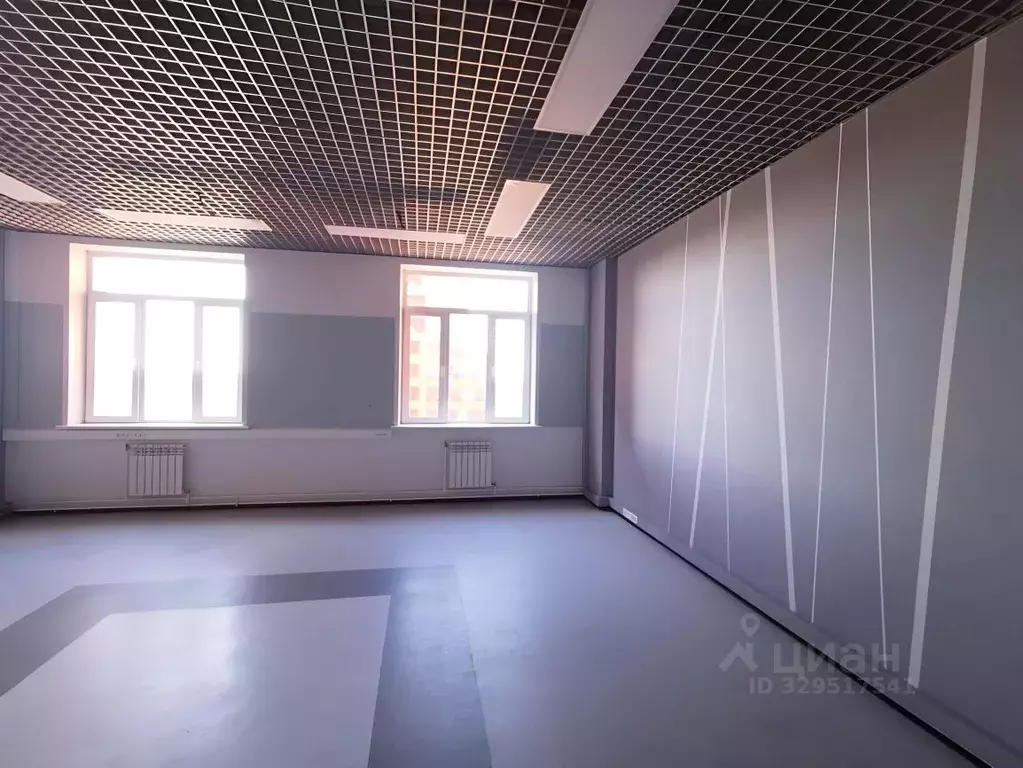 Офис в Новосибирская область, Новосибирск ул. Николаева, 11/5 (47 м) - Фото 2