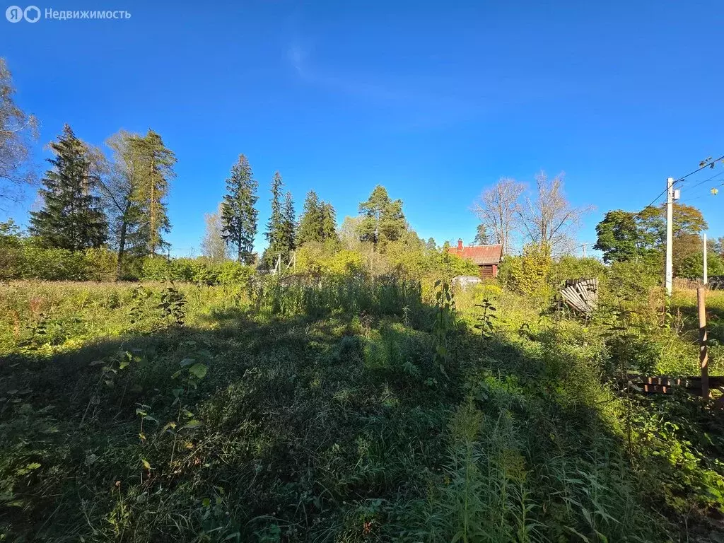 Участок в городской посёлок Вырица, улица Жертв Революции (10 м) - Фото 1