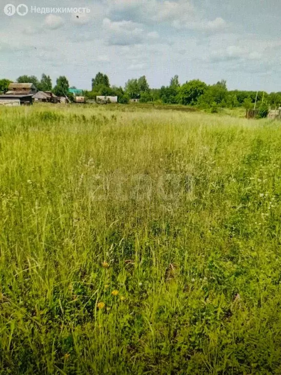 Участок в село Старцино, Тепличная улица (15 м) - Фото 2