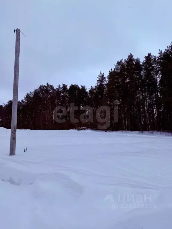 Участок в Калужская область, Боровск Бора-Боровск форестлейк кп,  ... - Фото 1