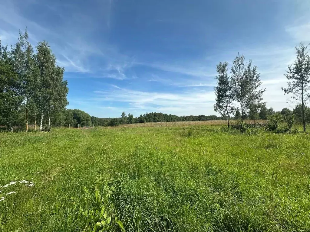 Участок в Ярославская область, Переславль-Залесский муниципальный ... - Фото 2