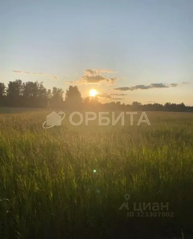 Участок в Тюменская область, Тюменский муниципальный округ, с. ... - Фото 2