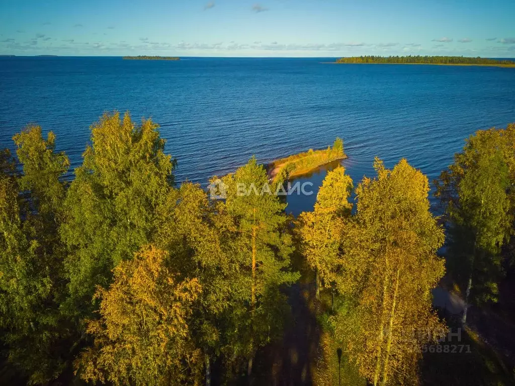 Таунхаус в Карелия, Прионежский район, с. Деревянное ул. Береговая (80 ... - Фото 1