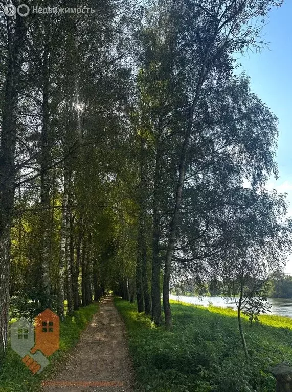 Участок в Звенигород, Новая улица, 2 (6 м) - Фото 0