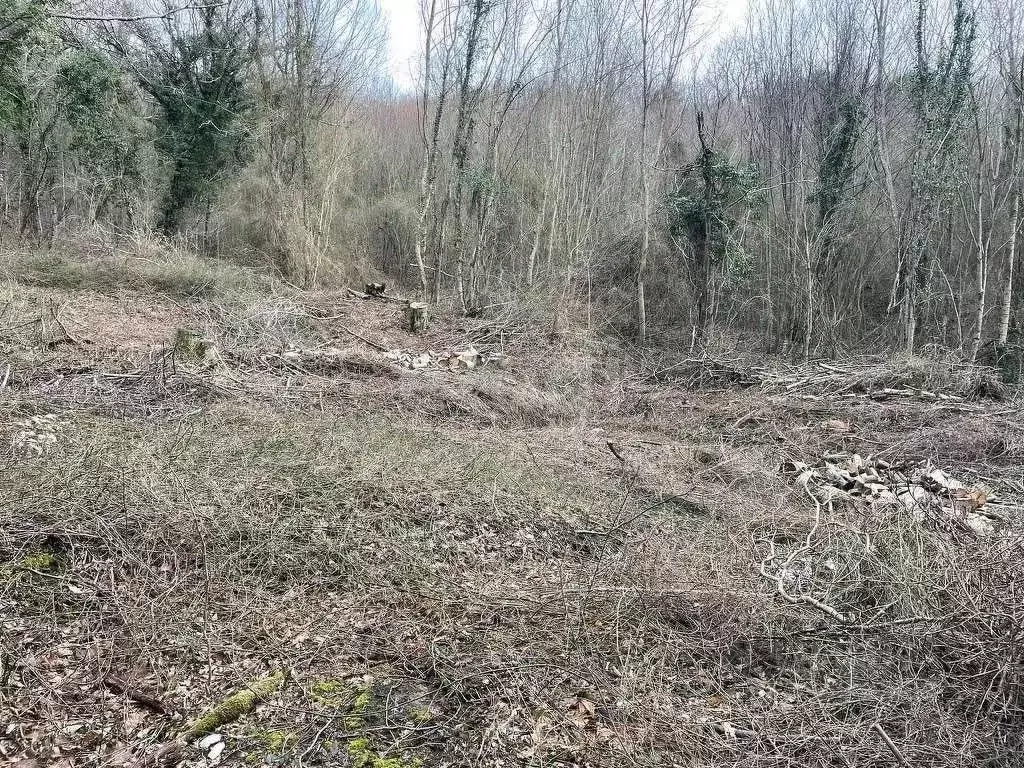 Участок в Краснодарский край, Геленджик городской округ, с. Адербиевка ... - Фото 2
