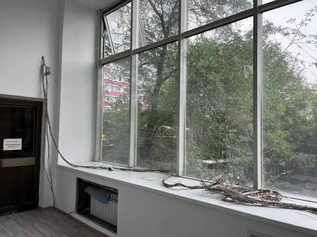 Торговая площадь в Хабаровский край, Хабаровск ул. Серышева, 22 (225 ... - Фото 1