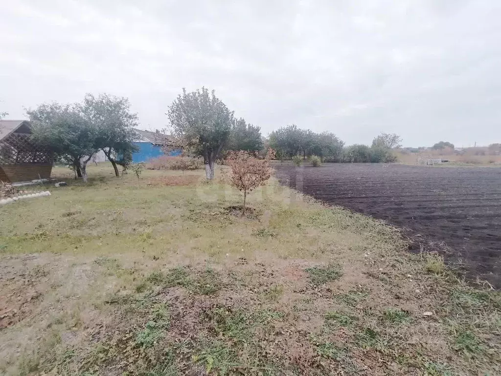 Участок в Белгородская область, Алексеевский муниципальный округ, с. ... - Фото 1