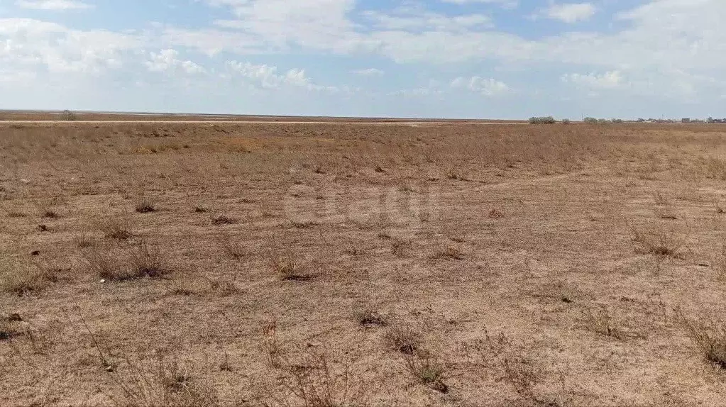 Участок в Крым, Ленинский район, Семисотское с/пос, с. Соляное ул. ... - Фото 1