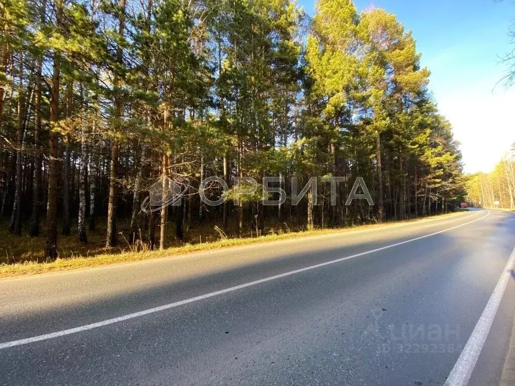 Участок в Тюменская область, Нижнетавдинский муниципальный округ, ... - Фото 2