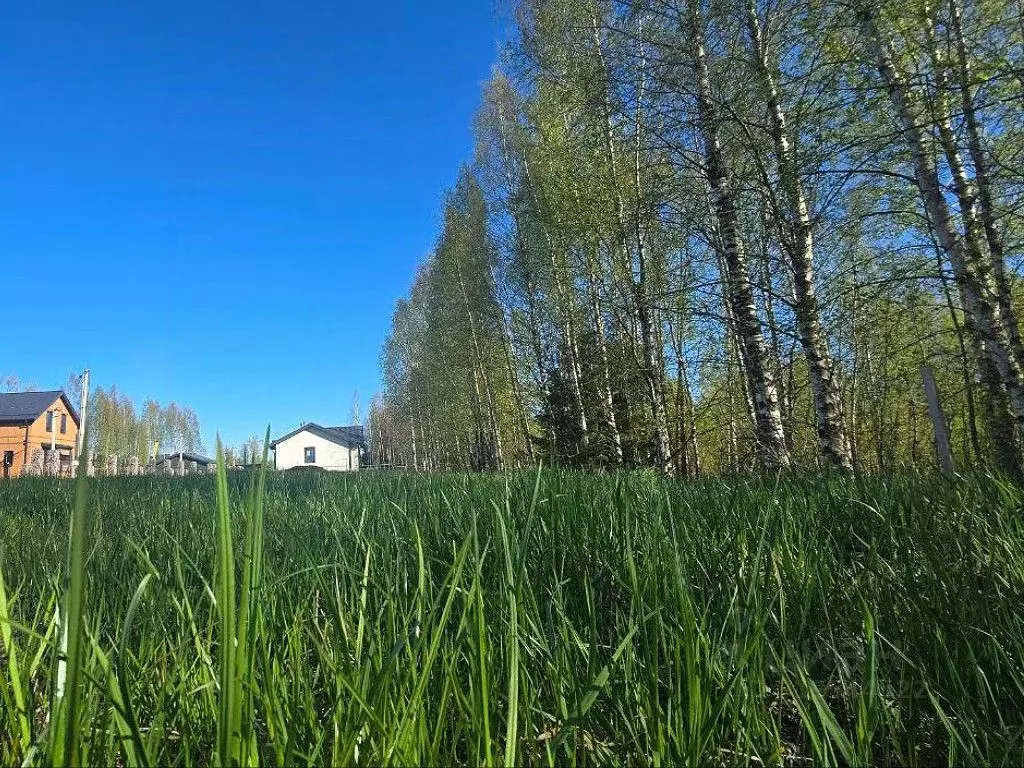 Участок в Ленинградская область, Всеволожский район, Агалатовское ... - Фото 1