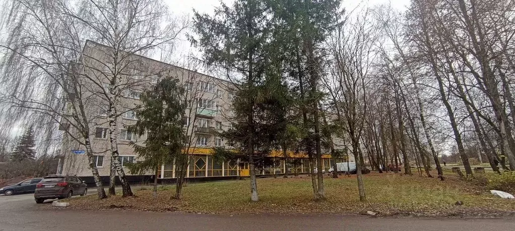 1-к кв. Московская область, Ступино городской округ, Михнево пгт ул. ... - Фото 2