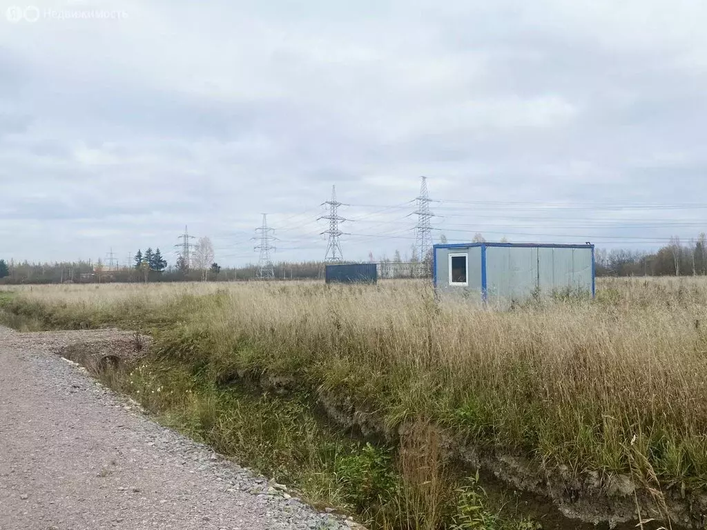 Участок в Санкт-Петербург, Колпино (11 м) - Фото 2