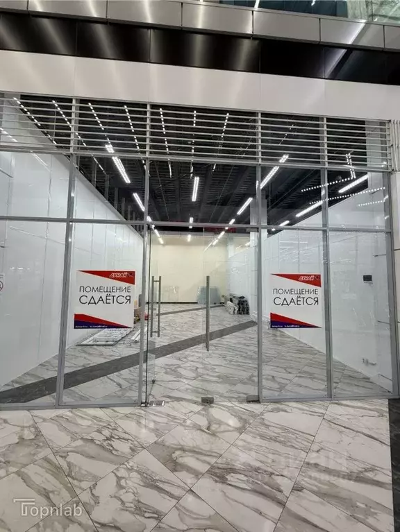 Помещение свободного назначения в Санкт-Петербург Дунайский просп., ... - Фото 1