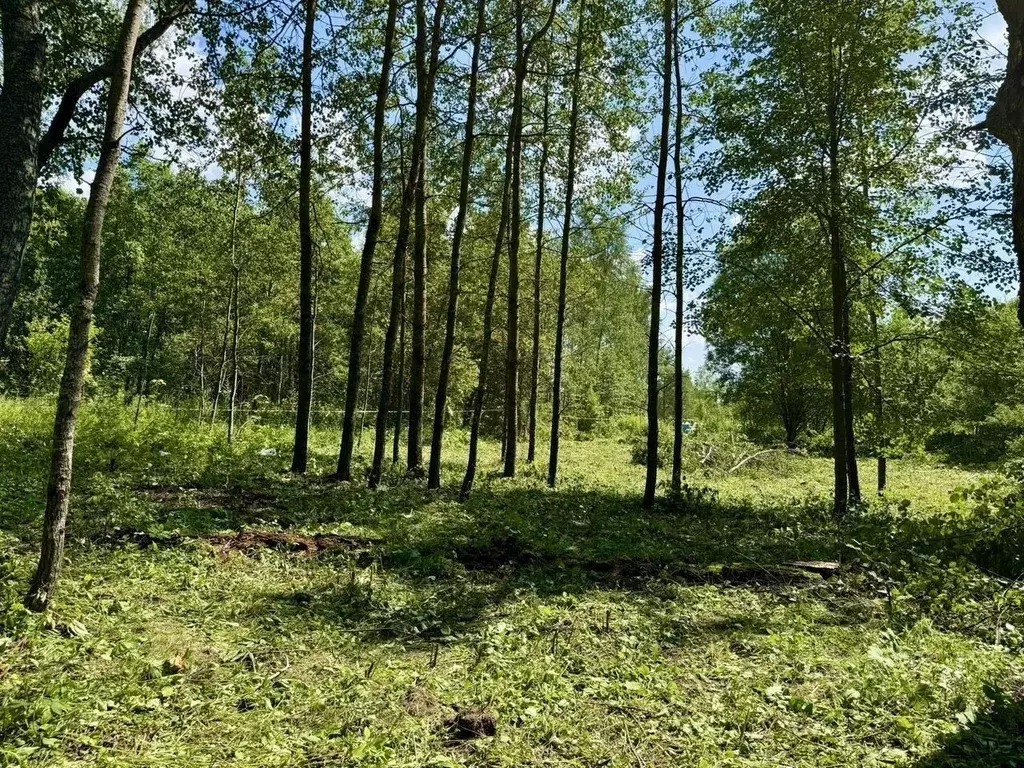 Участок в Московская область, Рузский муниципальный округ, пос. ... - Фото 2