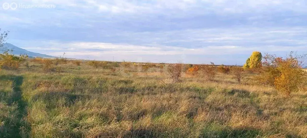 Участок в Первомайское, Садовая улица (6.36 м) - Фото 1