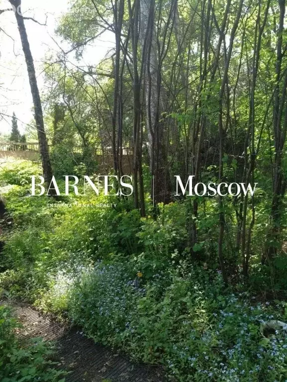 Участок в Одинцовский городской округ, посёлок Заречье (15.14 м) - Фото 2