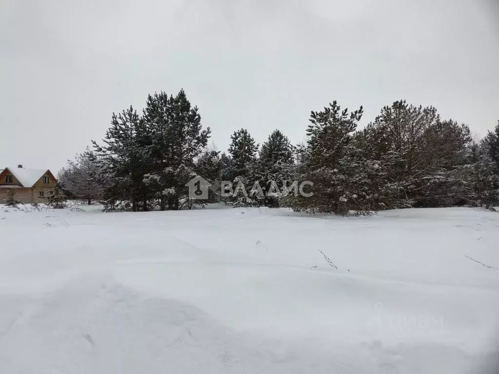 Участок в Владимирская область, Суздальский муниципальный округ, ... - Фото 2