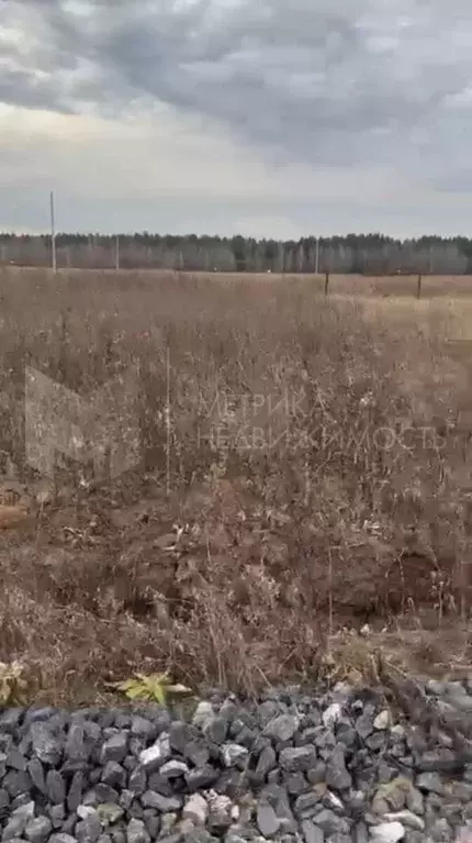 Участок в Свердловская область, Тугулымский муниципальный округ, с. ... - Фото 1