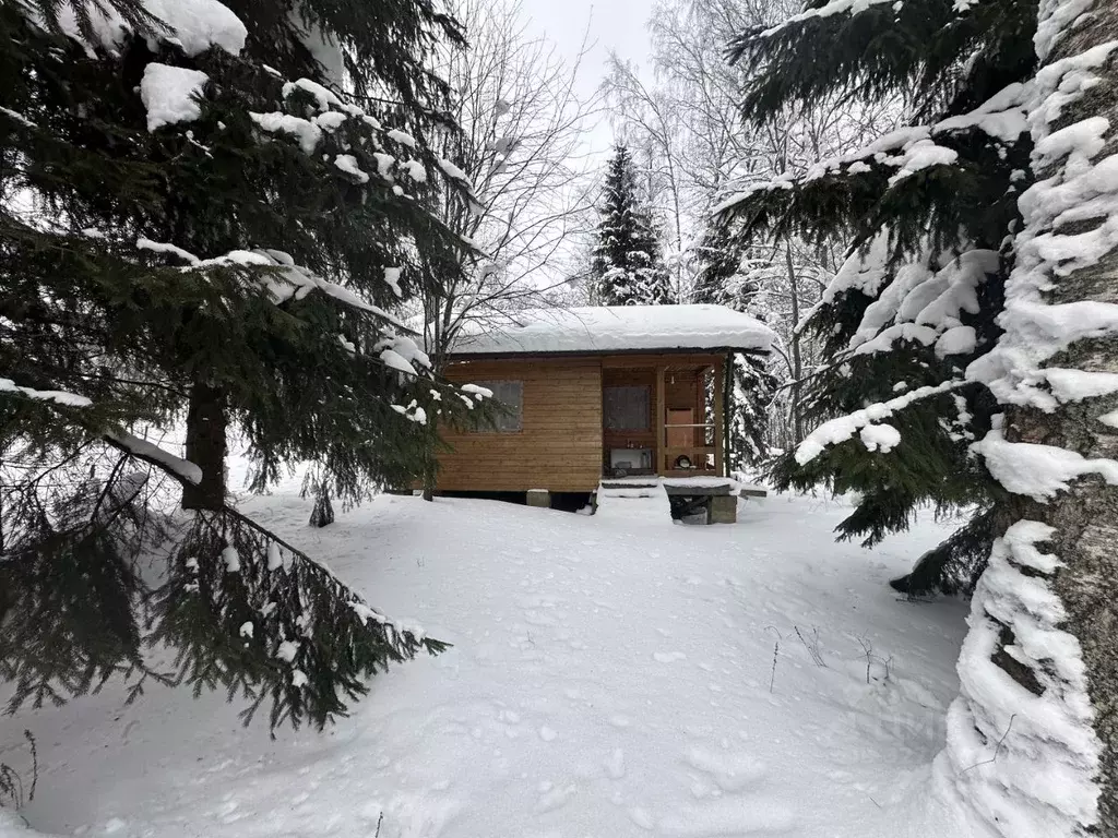 Дом в Ленинградская область, Всеволожский район, Куйвозовское с/пос, ... - Фото 1
