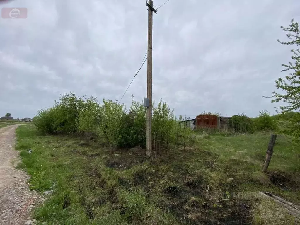 Участок в Воронежская область, с. Новая Усмань ул. Победы (11.0 сот.) - Фото 2