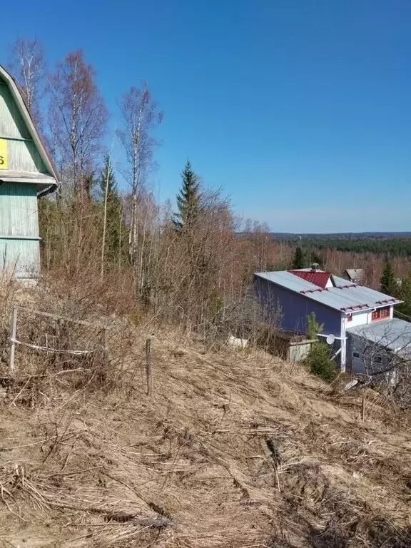 Дом в Ленинградская область, Приозерский район, Сосновское с/пос, д. ... - Фото 1