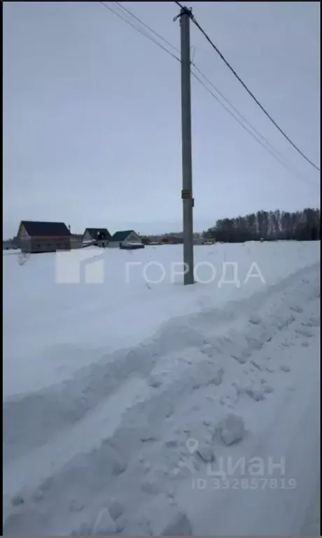 Участок в Новосибирская область, Коченево рп  (10.0 сот.) - Фото 1