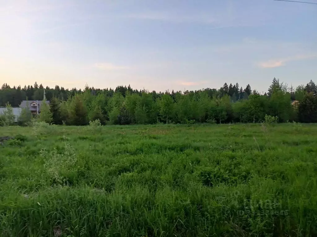 Участок в Московская область, Наро-Фоминский городской округ, Парус дп ... - Фото 1