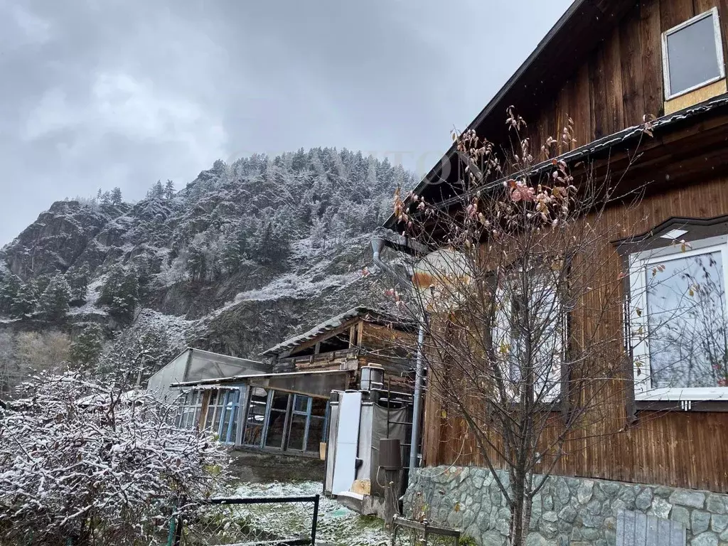 Дом в Алтай, Майминский район, с. Усть-Муны Школьный пер. (50 м) - Фото 2