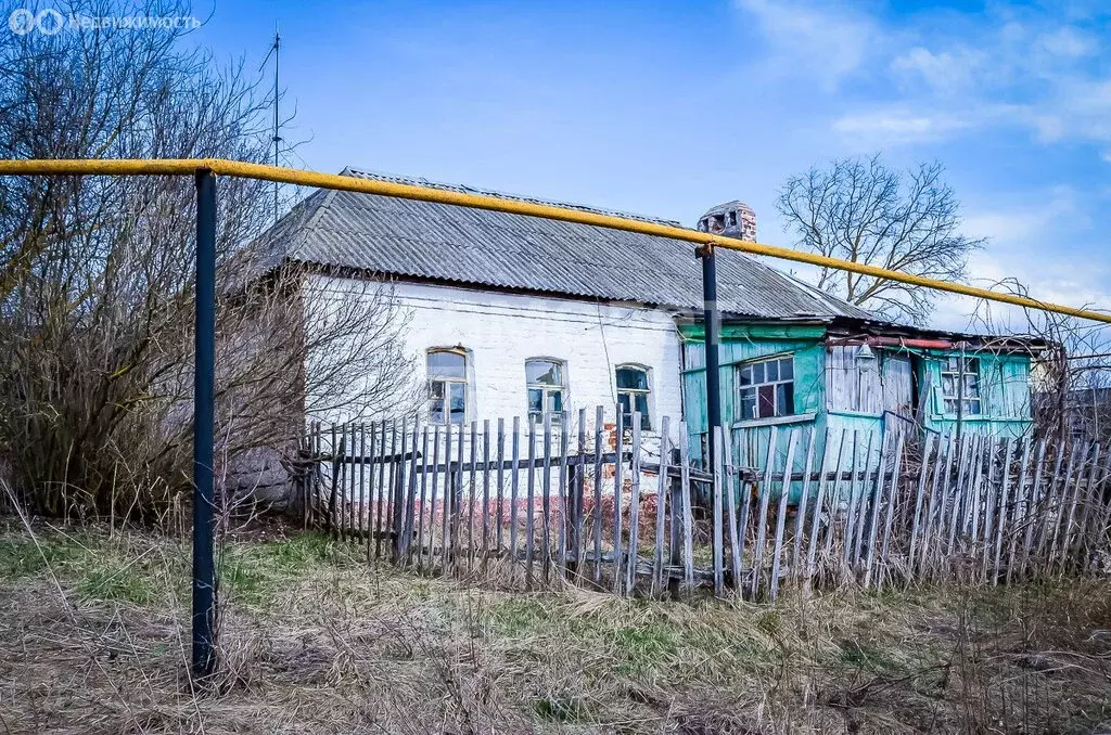 Дом в деревня Нечаевка, улица П.С. Зачиняева, 86 (33 м) - Фото 1