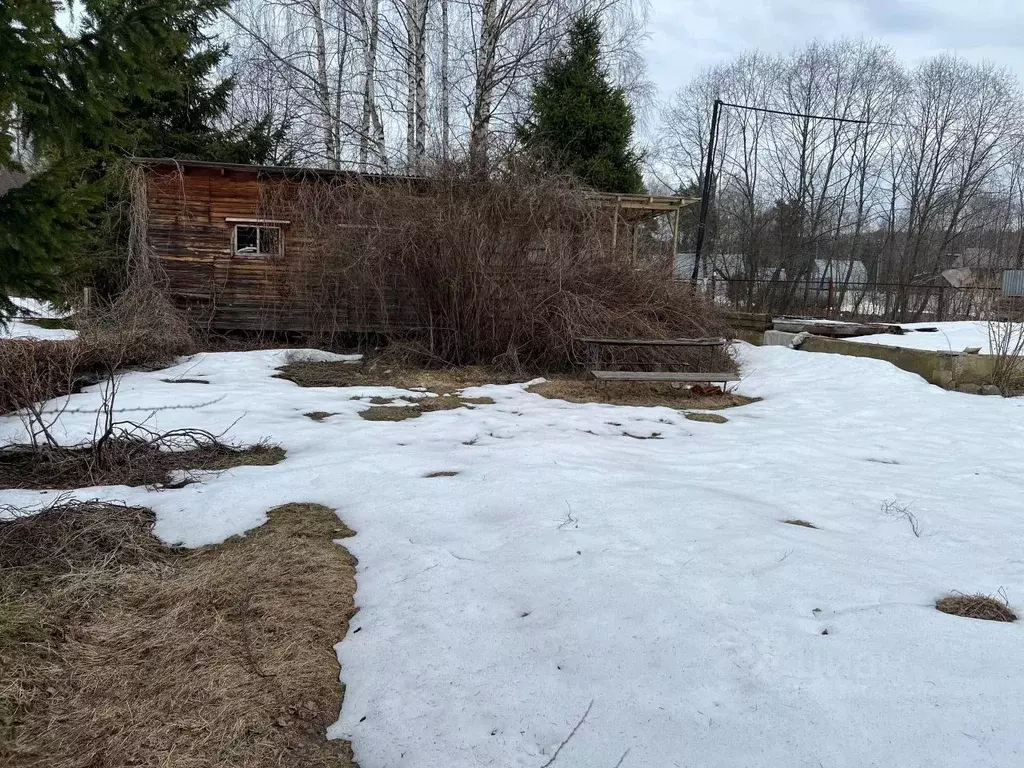 Участок в Московская область, Ивантеевка Пушкинский городской округ, ... - Фото 2