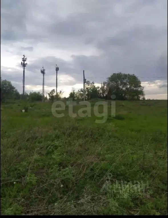 Участок в Саратовская область, Озинский район, с. Балаши  (15600.0 ... - Фото 1