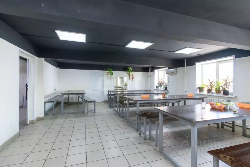 Помещение свободного назначения в Тюменская область, Тюмень ул. ... - Фото 1