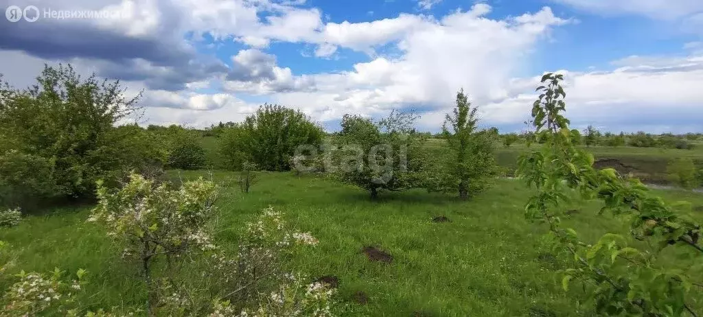 Участок в Рамонский район, Русскогвоздёвское сельское поселение, село ... - Фото 0