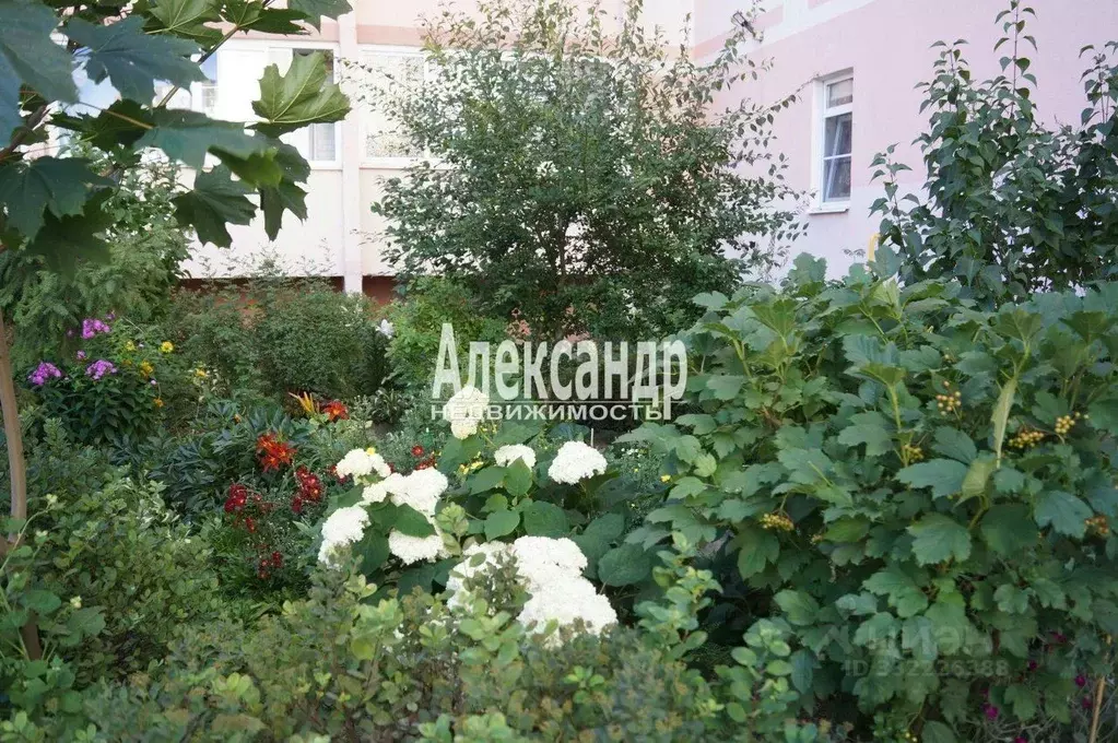 2-к кв. Ленинградская область, Никольское Тосненский район, ... - Фото 2