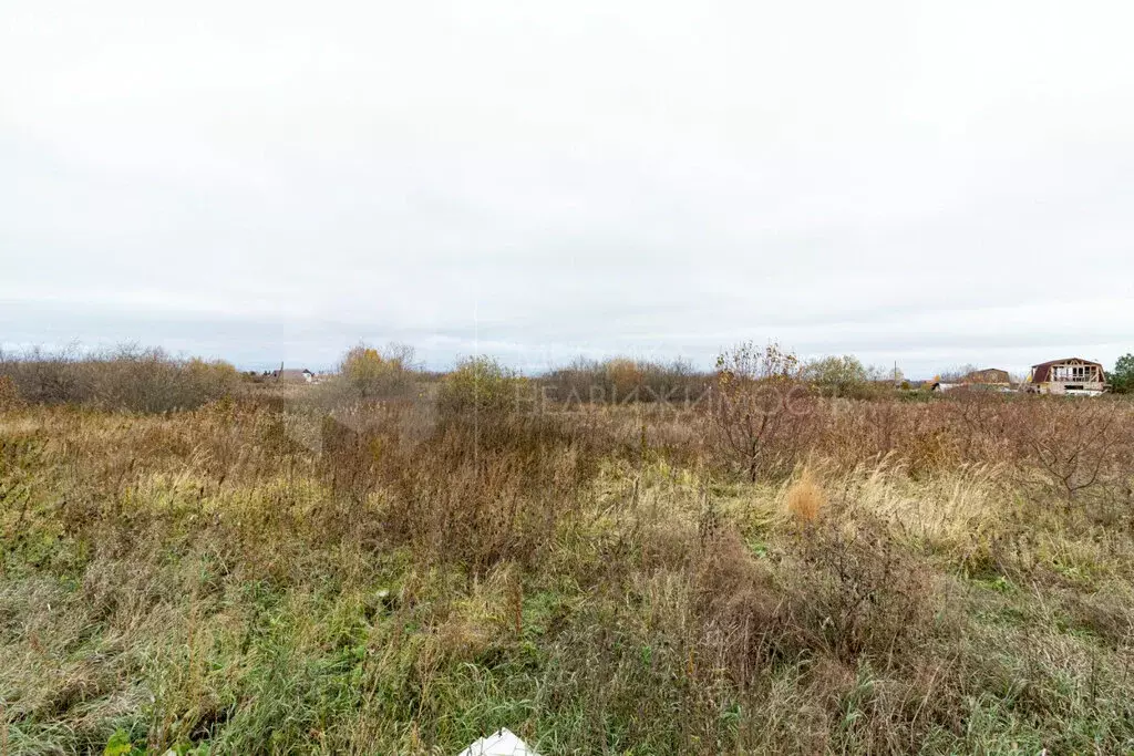 Участок в Тюмень, садовое товарищество Рябинка-2 (4.5 м) - Фото 1