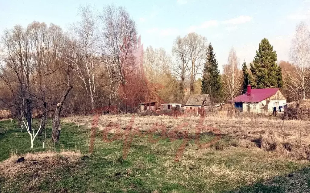 Участок в Орловская область, Урицкий район, Котовское с/пос, д. ... - Фото 1
