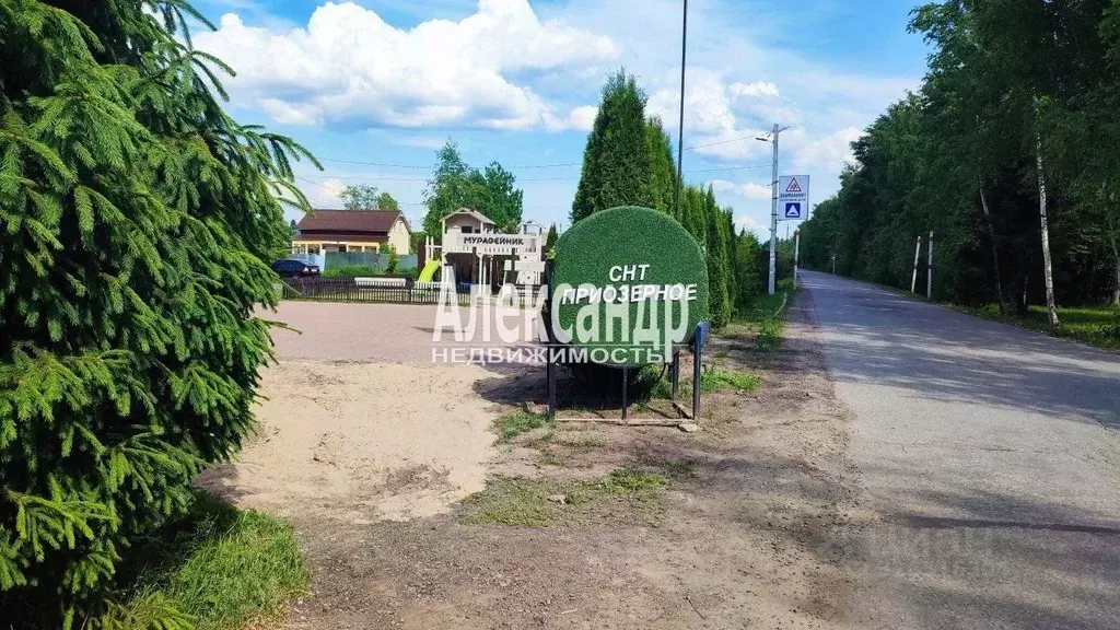 Участок в Ленинградская область, Кировский район, Синявинское ... - Фото 2