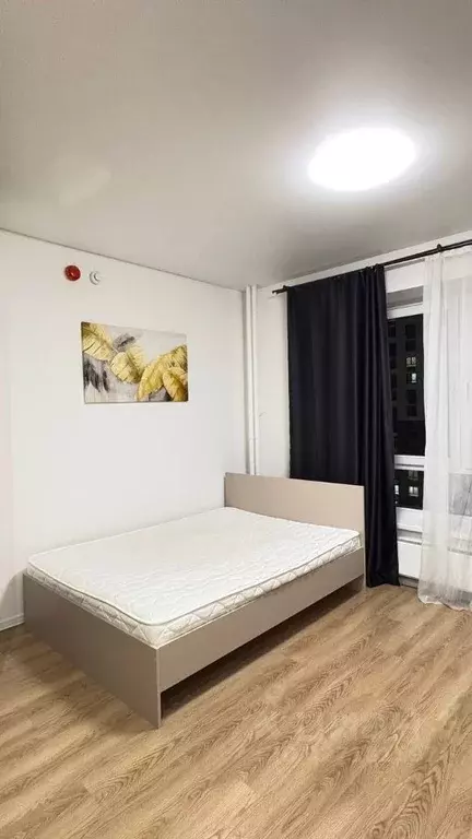 Студия Московская область, Ленинский городской округ, Дрожжино пгт ул. ... - Фото 1