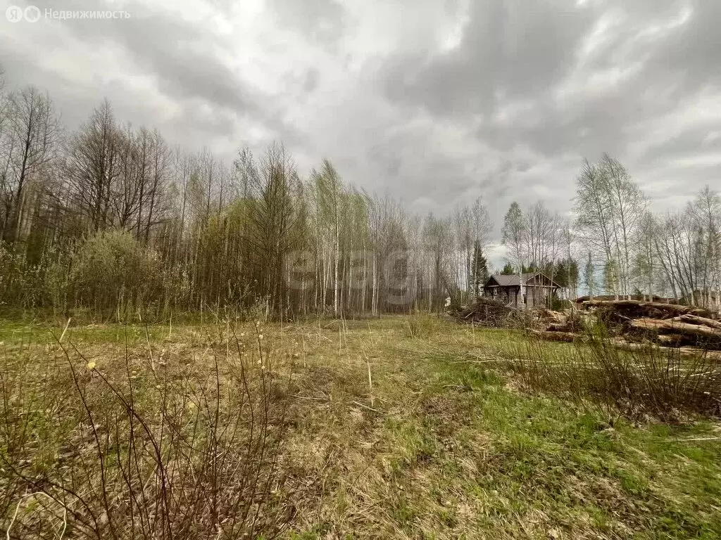 Участок в Медведевский район, Сидоровское сельское поселение, деревня ... - Фото 0