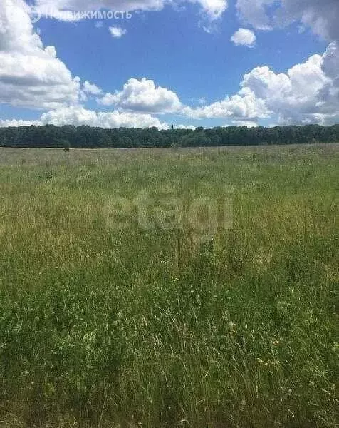 Участок в Новое Барятино, Луговая улица (15 м) - Фото 0
