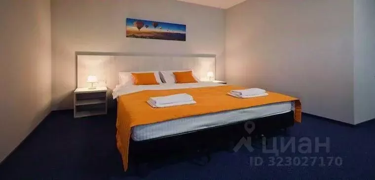 Комната Новгородская область, Старая Русса ул. Ломоносова, 56 (35.0 м) - Фото 1