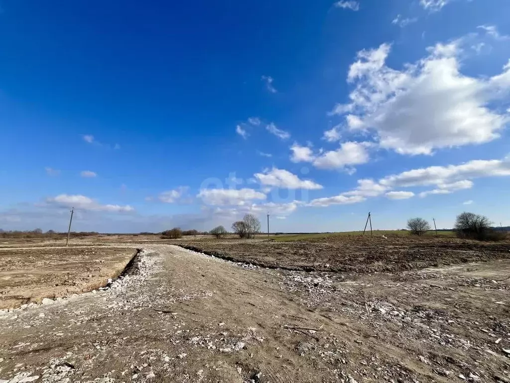 Участок в Калининградская область, Гурьевский муниципальный округ, ... - Фото 2