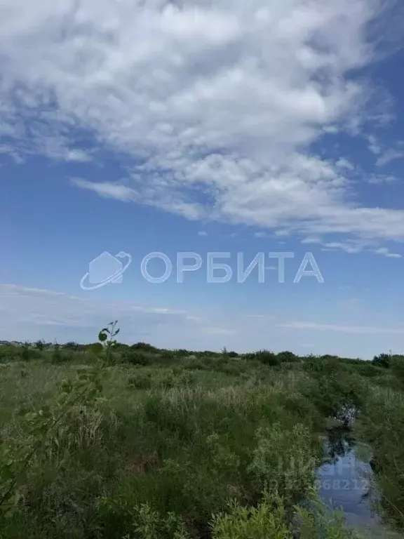 Участок в Тюменская область, Тюменский муниципальный округ, д. ... - Фото 2