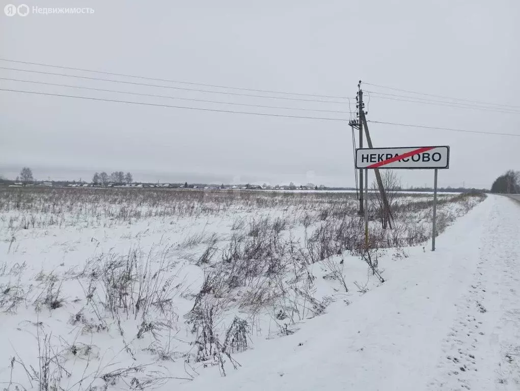 Участок в Костромской район, Шунгенское сельское поселение, деревня ... - Фото 0