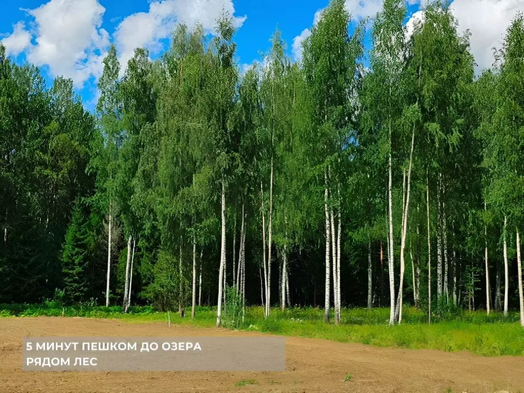 Участок в Ленинградская область, Тосненский район, Любанское городское ... - Фото 1