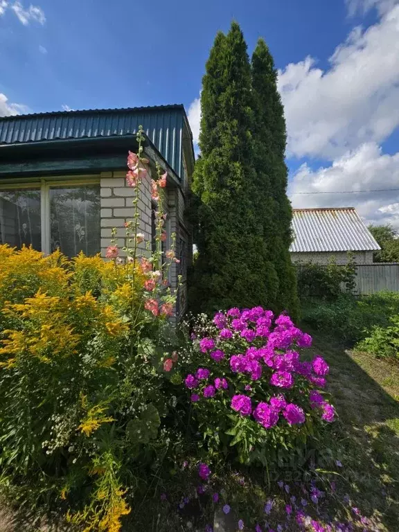 Дом в Нижегородская область, Кстово Лесное СНТ, 155 (44 м) - Фото 1