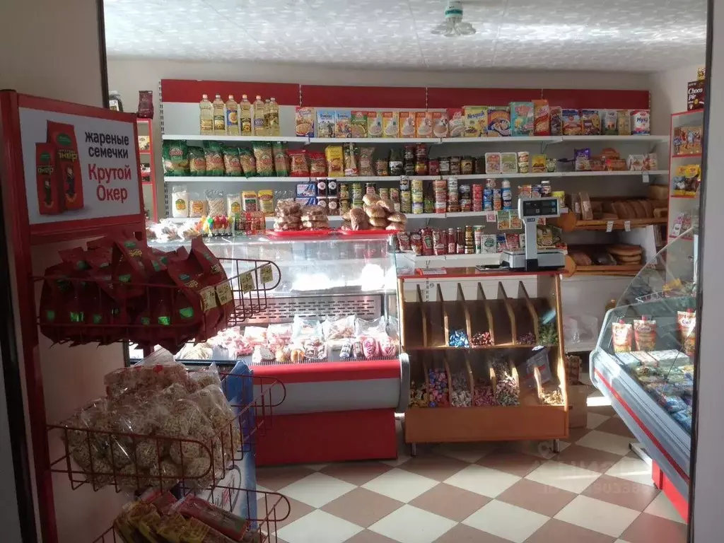 Помещение свободного назначения в Северная Осетия, Владикавказ ул. ... - Фото 1