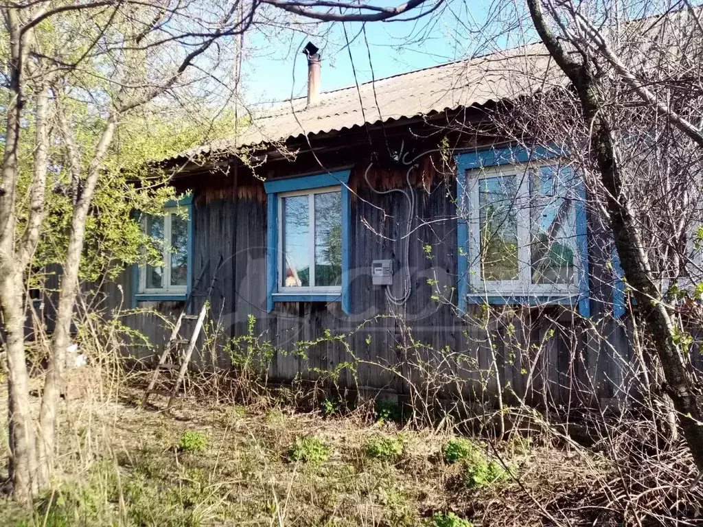 2-к кв. Курганская область, Юргамыш рп ул. Школьная, 20 (49.1 м) - Фото 1