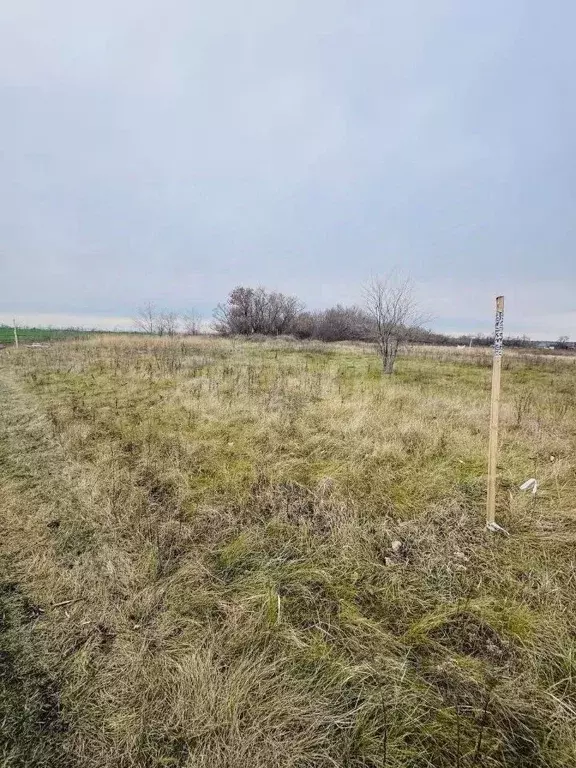 Участок в Воронежская область, Воронеж Подклетный мкр,  (7.94 сот.) - Фото 1